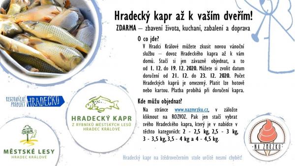 Hradecký kapr k vám domů