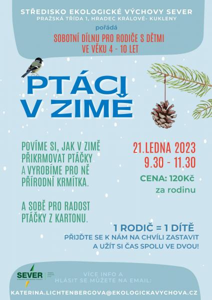 Ptáci v zimě