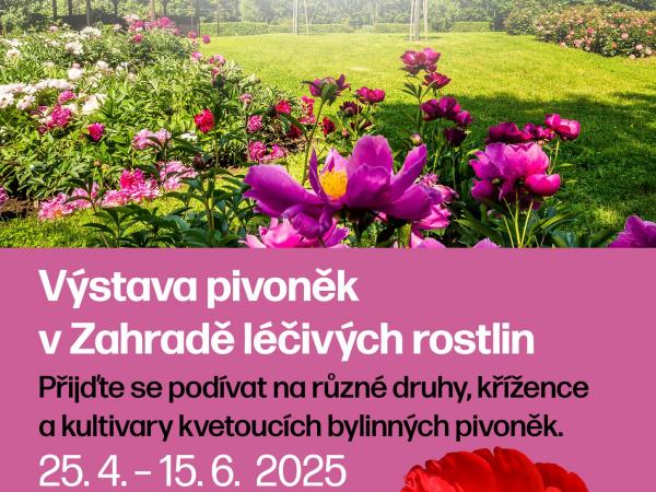 Výstava pivoněk
