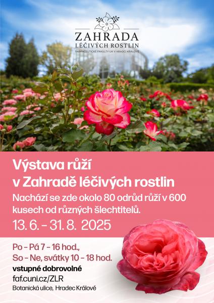 Výstava růží