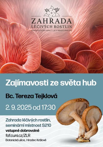 Zajímavosti ze světa hub