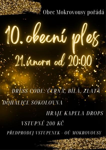 10. Obecní ples v Mokrovousích