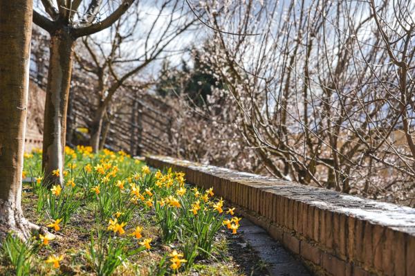 Jarní komentovaná procházka Hradcem Králové 
