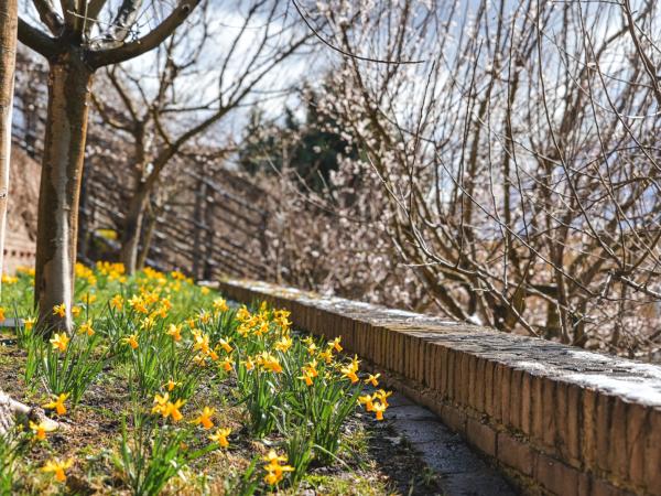 Jarní komentovaná procházka Hradcem Králové 