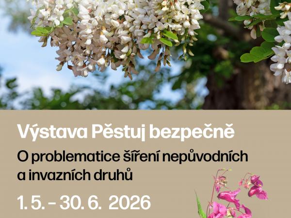 Výstava: Pěstuj bezpečně
