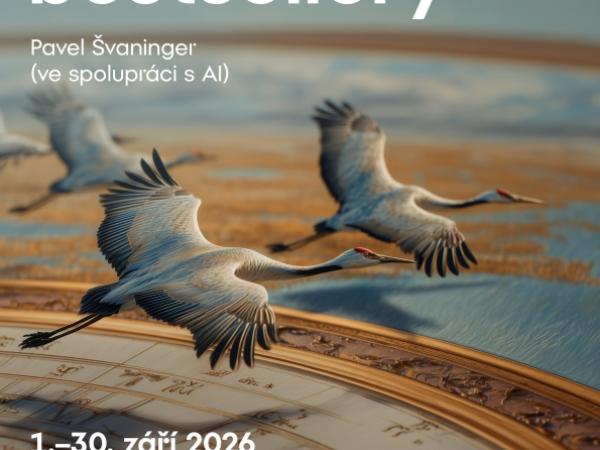 Výstava: Obrazové bestsellery