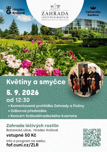Květiny a smyčce